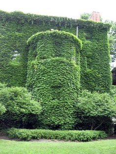 a very tall building covered in lots of green plants next to a lush green park