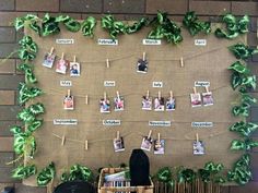 a bulletin board with pictures hanging on clothes pins