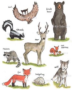 an image of wild animals that are in the wild together on a white paper sheet