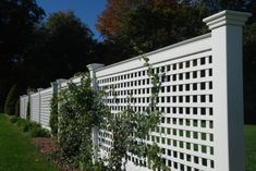 a white fence with green plants growing on it