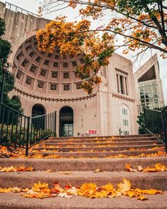 the steps leading up to an old building with yellow leaves on them and trees in front