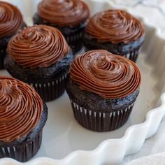 chocolate cupcakes with frosting on a white plate