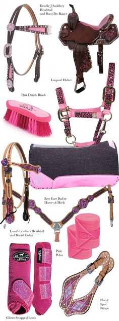 horse bridles and accessories are shown in this graphic above it's description