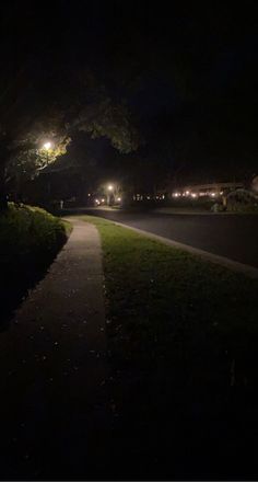 a path lit up at night with street lights