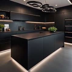 a modern kitchen with black cabinets and lights on the ceiling, along with potted plants