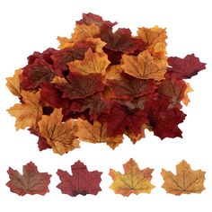 autumn leaves are arranged on top of each other