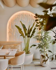 the interior of a restaurant with white walls and plants in vases on the tables