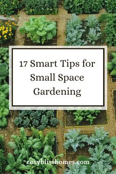 This pin showcases clever gardening strategies designed for small spaces, highlighting useful tips and tricks for maximizing your harvest in limited areas using one engaging image.