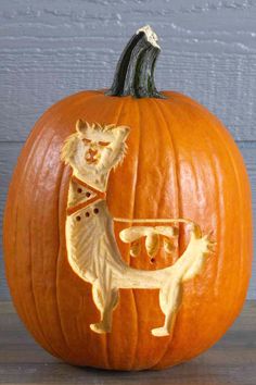 a carved pumpkin with a dog and cat on it