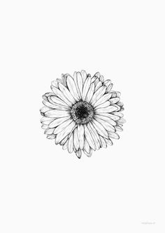 a black and white drawing of a flower