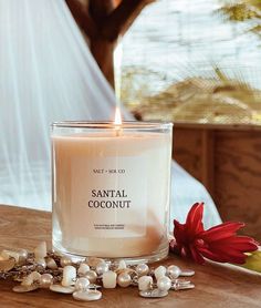 Santal and coconut soy wax scented candle for sale at salt and SOL co Hawaii candle company Room Diffuser, Beach Getaway, Cozy Ambiance, Linen Spray, Fall Candles, Candle Companies, Room Size, Luxury Candles, Soy Wax Candle