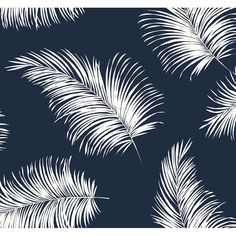 white palm leaves on a dark blue background