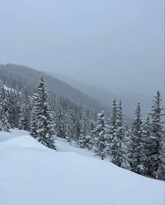 snow covered pine trees on the side of a mountain