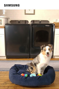 a dog sitting on a pet bed in the kitchen