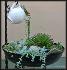 a potted plant sitting on top of a table next to a white teapot