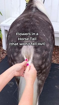 a woman is grooming the tail of a horse with words on it that read flowers in a horse tail that won't fall out