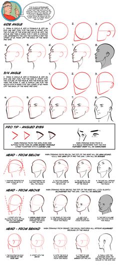 how to draw the head and neck in one point, with instructions for each part