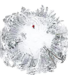 a person standing in the middle of a snow covered forest