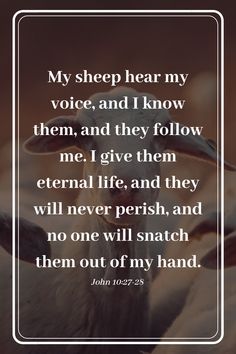 a goat with the words, my sheep hear my voice and i know them, and they