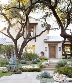 a house that has some trees in front of it and plants on the ground outside