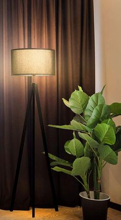 a potted plant sitting next to a lamp on top of a wooden stand in front of a curtained window