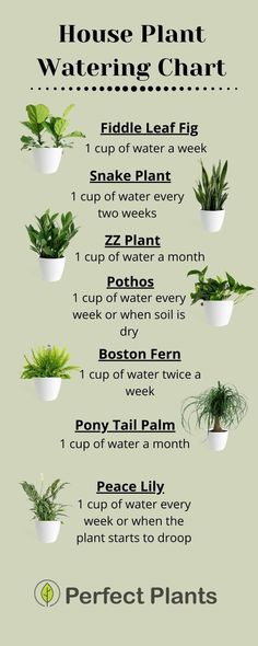 the house plant watering chart is shown in this graphic style, with instructions for how to use