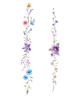 watercolor flowers and vines on white background