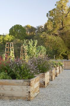 a row of wooden planters filled with flowers