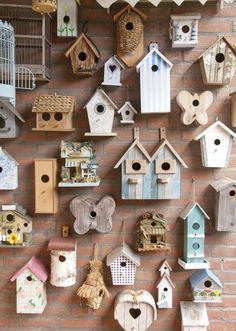 many bird houses are hanging on the wall