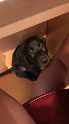 a black dog sitting under a wooden table next to a woman's legs and leg