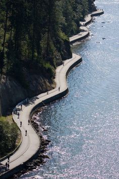 an aerial view of the shoreline with people walking along it and trees lining the shore