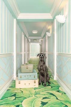 a dog wearing sunglasses sitting next to two suitcases in a hallway with wallpaper