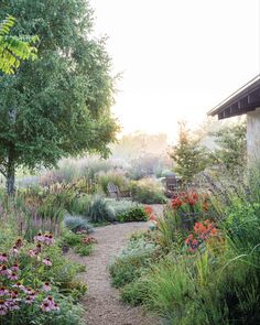 a garden with lots of flowers and trees