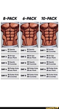 the six day program for men to gain their back muscles and build muscle absor