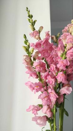 pink flowers are in a glass vase on a table next to a white wall and mirror