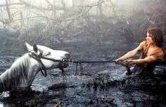 a woman sitting next to a white horse in the water