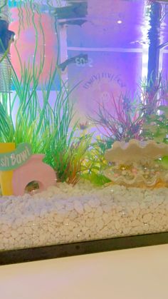 a fish tank filled with lots of different types of plants and rocks next to a white table