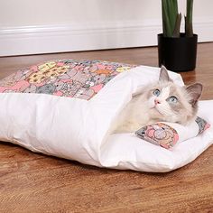 a cat laying on top of a pillow on the floor next to a potted plant