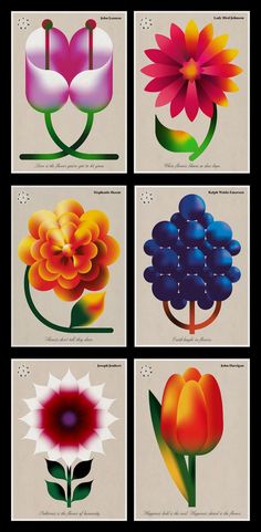 four different colored flowers are shown in this image