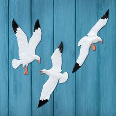 three white and black birds flying over a blue wooden wall with planks in the background