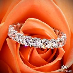 Annette's U-Prong Three Quarter Eternity Diamond Wedding Ring Diamond Wedding Ring, Everlasting Love, Eternity Ring Diamond, Diamond Eternity, Shades Of Orange, Diamond Wedding Rings, Diamond Wedding, Colorful Fashion, Eternity Ring