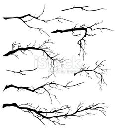 the branches of trees without leaves on a white background