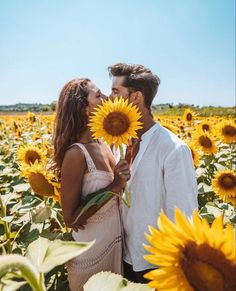 a man and woman standing in a field of sunflowers with their faces close to each other