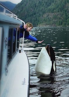 a woman in blue jacket standing on top of a boat next to a black and white whale