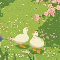 two ducks are standing in the grass near flowers