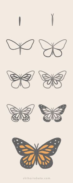 the different types of butterflies are shown in this graphic style, including one orange and one black