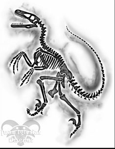 a black and white drawing of a dinosaur skeleton