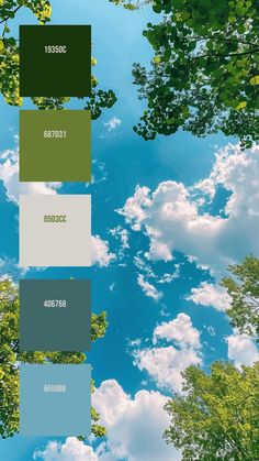 Colors:
19350C
687D31
D5D3CC
406768
6FA9BB Nature Colour Palette, Sky Blue Palette, Green And Blue Color Palette, Blue Green Color Palette, Vivid Color Palette, Minimalism Office, Energizing Colors, Disney Minimalist, Inspiration Typographie