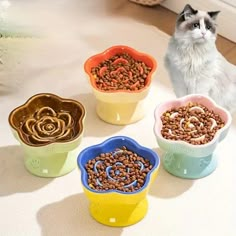 a cat sitting on the floor next to four bowls with food in them and a white cat standing behind it