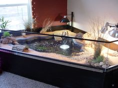 a fish tank filled with water and rocks in front of a window on top of a carpeted floor